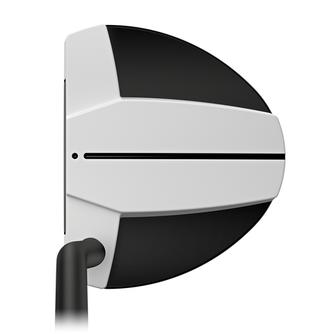 Ping Scottsdale TEC Hayden Putter