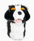 Daphne's Driver Headcover – Bernese Mountain Dog (BURO)