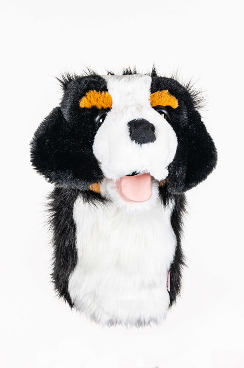 Daphne's Driver Headcover – Bernese Mountain Dog (BURO)