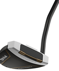 Angled view of Scottsdale TEC Hayden mallet putter face with full-shaft offset and Eye Q alignment line