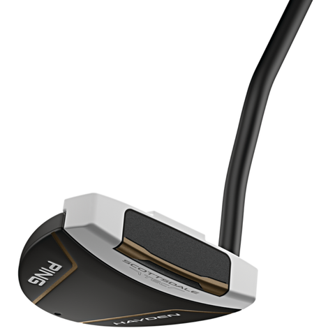 Angled view of Scottsdale TEC Hayden mallet putter face with full-shaft offset and Eye Q alignment line