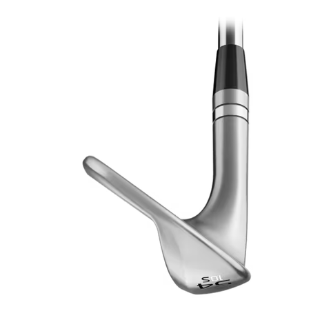SM11 Wedge Raw
