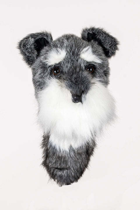 Daphne's Driver Headcover – Schnauzer (SCH)