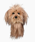 Daphne's Driver Headcover – Scruffy Dog (SCR)