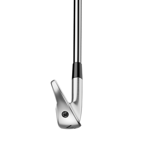 TaylorMade 2025 P790 Irons